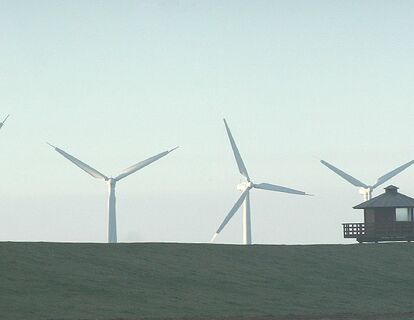 Wohnmobilhafen am Deich Dorum-Neufeld — photo 8