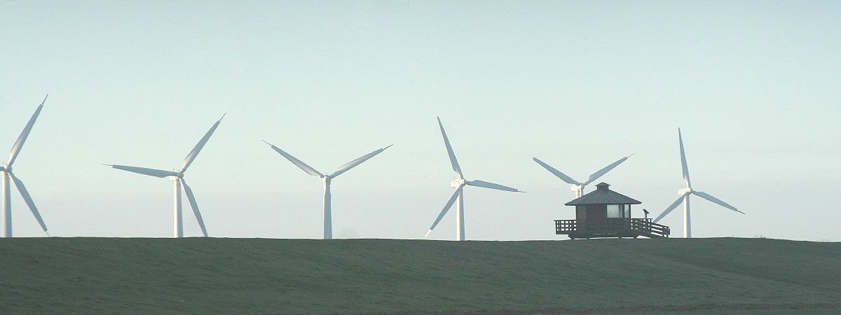 Wohnmobilhafen am Deich Dorum-Neufeld — photo 6