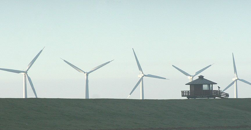 Wohnmobilhafen am Deich Dorum-Neufeld — photo 7